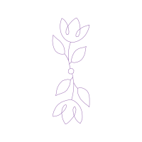 Drawing Wedding Drawing Wedding