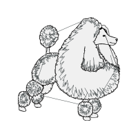 Drawing Wedding Drawing Wedding