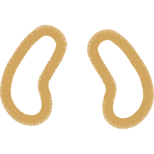 Earring Wedding Earring Wedding