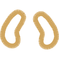 Earring Wedding Earring Wedding