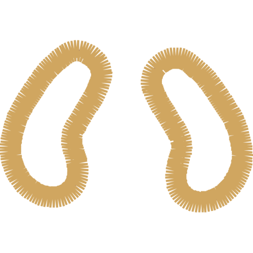 Earring Wedding Earring Wedding