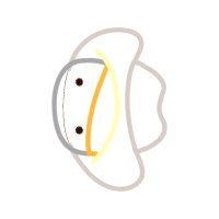 Earring Wedding Earring Wedding