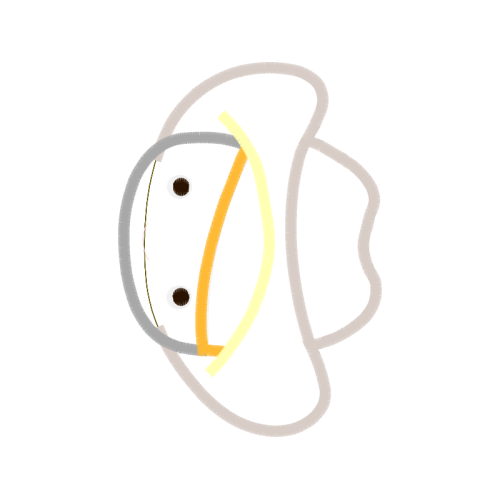 Earring Wedding Earring Wedding