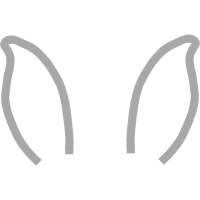 Earring Wedding Earring Wedding