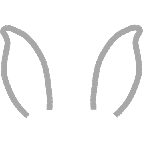 Earring Wedding Earring Wedding