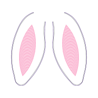 Earring Wedding Earring Wedding