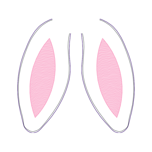 Earring Wedding Earring Wedding