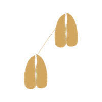 Earring Wedding Earring Wedding