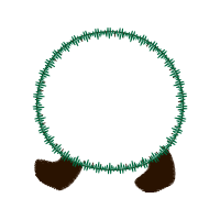 Earring Wedding Earring Wedding