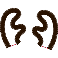 Earring Wedding Earring Wedding