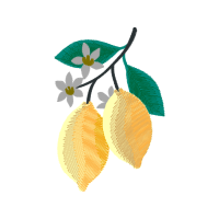 Earring Wedding Earring Wedding