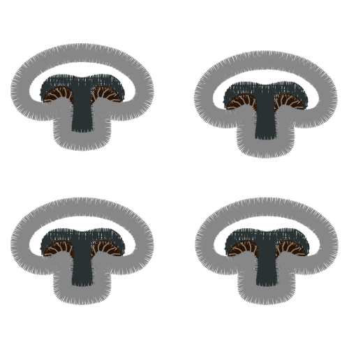 Earring Wedding Earring Wedding