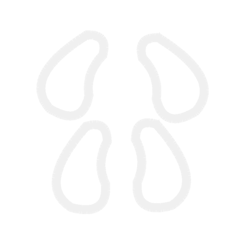 Earring Wedding Earring Wedding