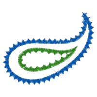 Honkai Star Rail Wedding