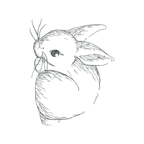 Line Art Wedding Line Art Wedding