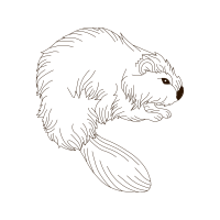 Line Art Wedding Line Art Wedding