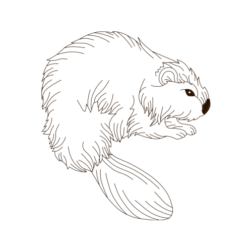 Line Art Wedding Line Art Wedding