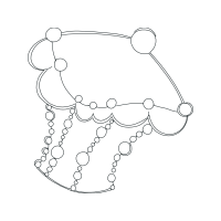 Line Art Wedding Line Art Wedding