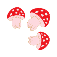 Mushroom Wedding Mushroom Wedding