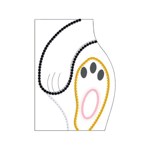 Necklace Wedding Necklace Wedding