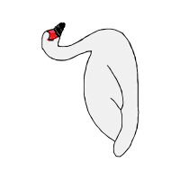 Ring Necked Pheasant Wedding