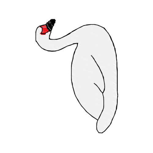 Ring Necked Pheasant Wedding Ring Necked Pheasant Wedding