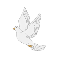 Rock Dove Wedding Rock Dove Wedding