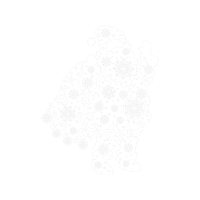 Sketch Wedding Sketch Wedding