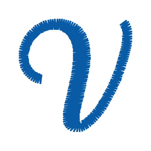 T Shirt Wedding T Shirt Wedding