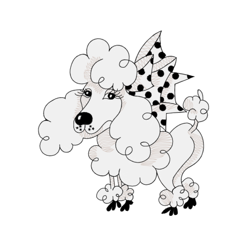 Toy Poodle Wedding Toy Poodle Wedding