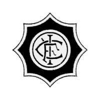 235 50R19 Bridgestone Wedding