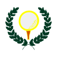 Afik Group Wedding Afik Group Wedding