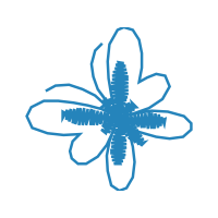 Angulate Orbweavers Wedding Angulate Orbweavers Wedding