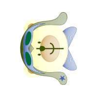 Art Wedding Art Wedding