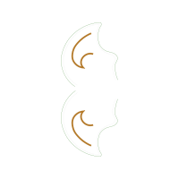 Art Wedding Art Wedding