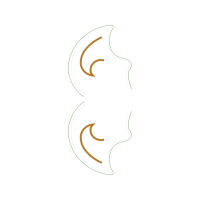 Art Wedding Art Wedding