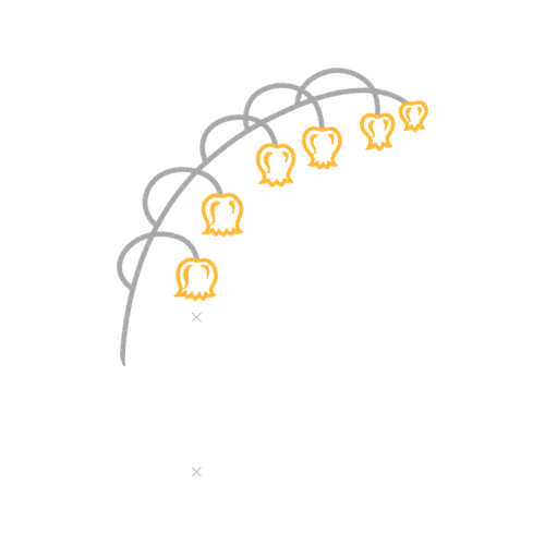 Art Wedding Art Wedding