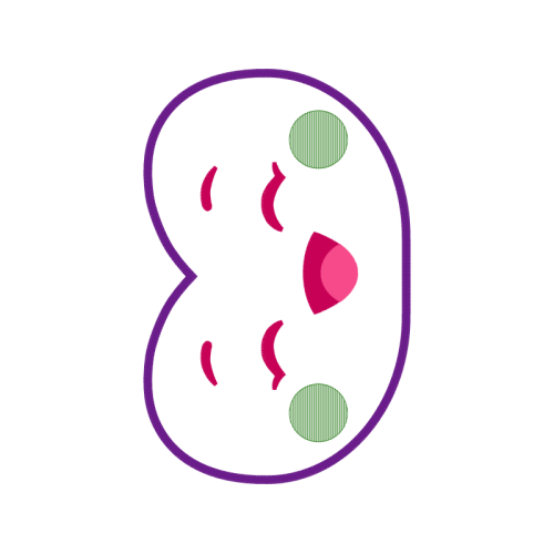 Art Wedding Art Wedding