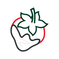 Art Wedding Art Wedding