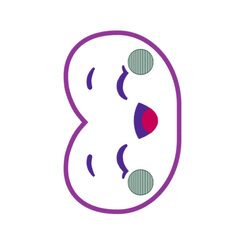 Art Wedding Art Wedding