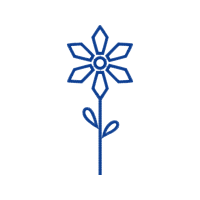 Art Wedding Art Wedding