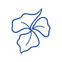 Art Wedding Art Wedding