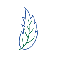 Art Wedding Art Wedding