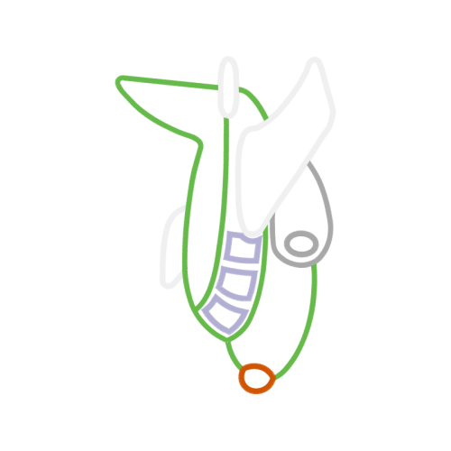 Art Wedding Art Wedding