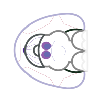 Art Wedding Art Wedding