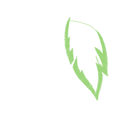 Artificial Turf Wedding