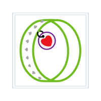 Bike Wheel Wedding Bike Wheel Wedding