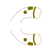 Body Piercing Jewelry Wedding