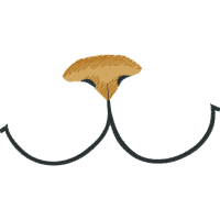 Body Piercing Jewelry Wedding