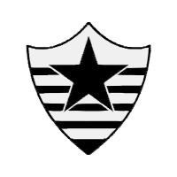 Botafogo Esporte Clube Wedding Botafogo Esporte Clube Wedding